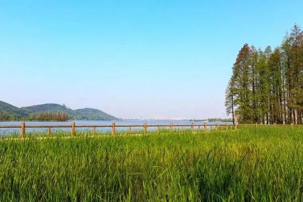 東湖落雁島游玩攻略 交通、門(mén)票、怎么玩等信息都在這了